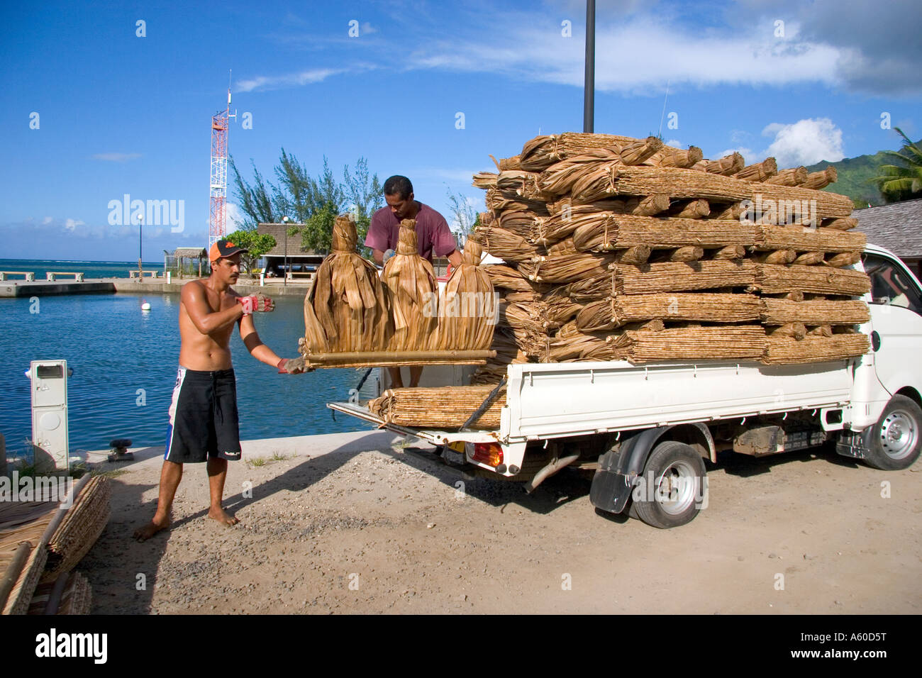 Palm Frond Stroh verwendet für eine Überdachung auf traditionelle Gebilde der Verladung in einen LKW auf der Insel Moorea Stockfoto
