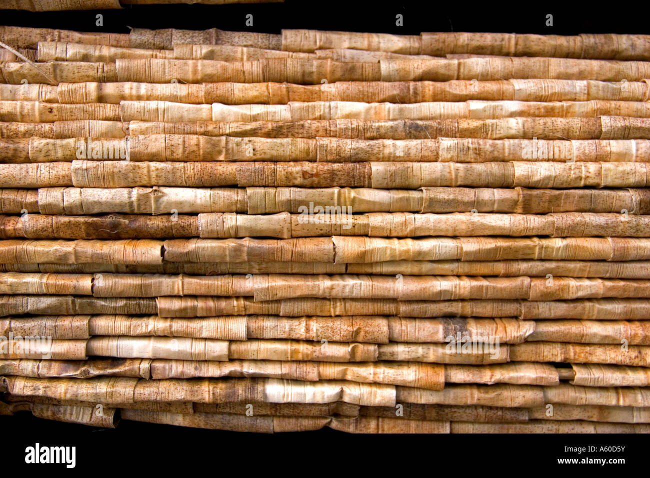 Palm Frond Stroh zur traditionellen Dacheindeckung auf der Insel Moorea Stockfoto