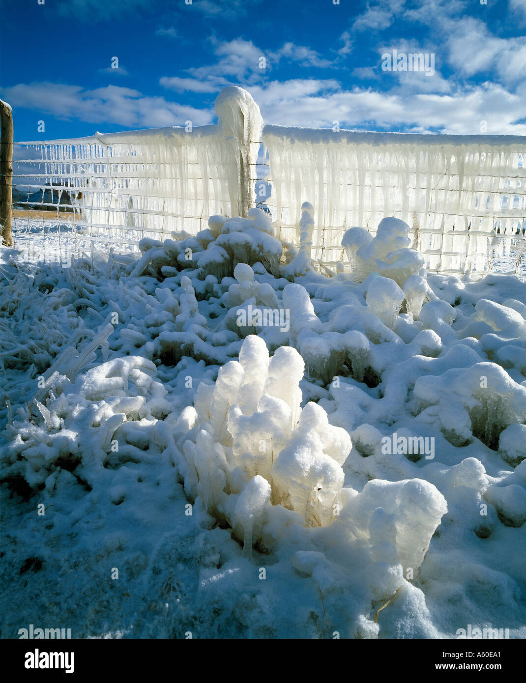 Eis auf Stacheldraht, Utah, USA Stockfoto
