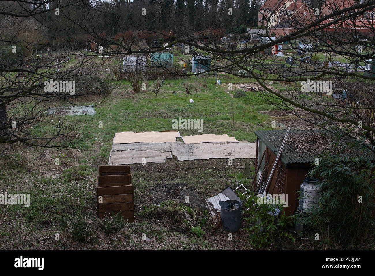 BODEN UNKRAUT ABSTANDSREGELUNG MIT ALTEN TEPPICHEN AUF KLEINGÄRTEN Stockfoto