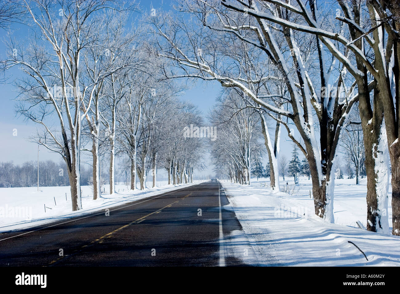 Gepflasterte Landstraße nach einem Schneesturm. Ontario Kanada Stockfoto