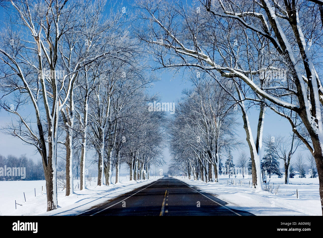 Gepflasterte Landstraße nach einem Schneesturm. Ontario Kanada Stockfoto