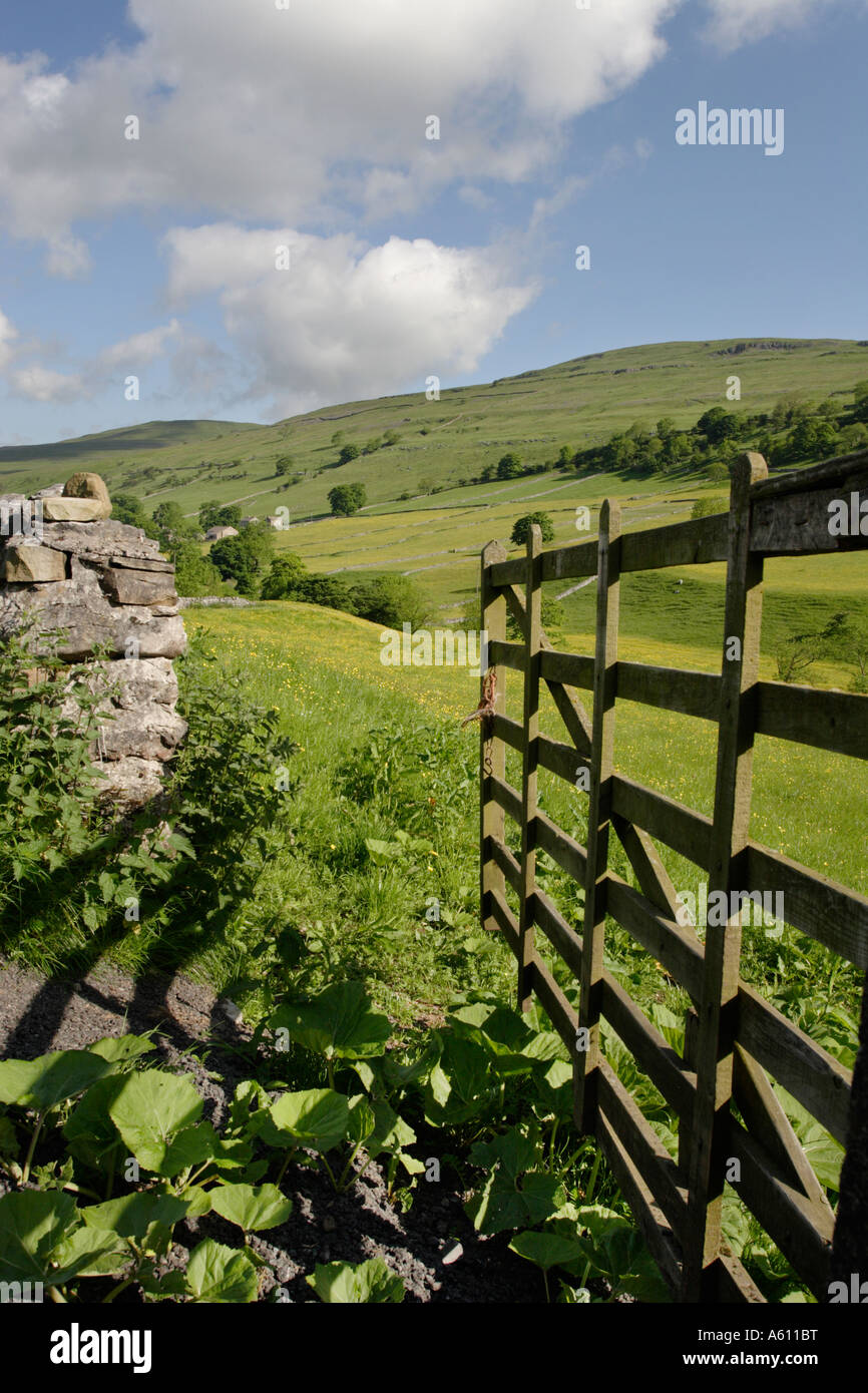 Sommerwiesen in Wharfedale, Yorkshire Dales National Park Stockfoto