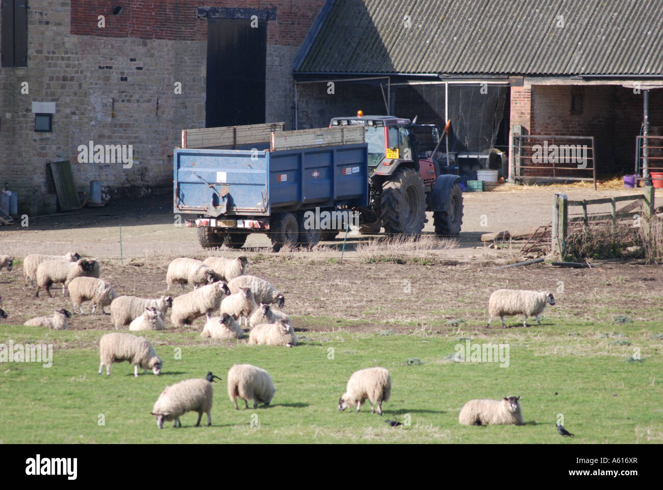 Typische Nottinghamshire Bauernhof Szene Stockfoto
