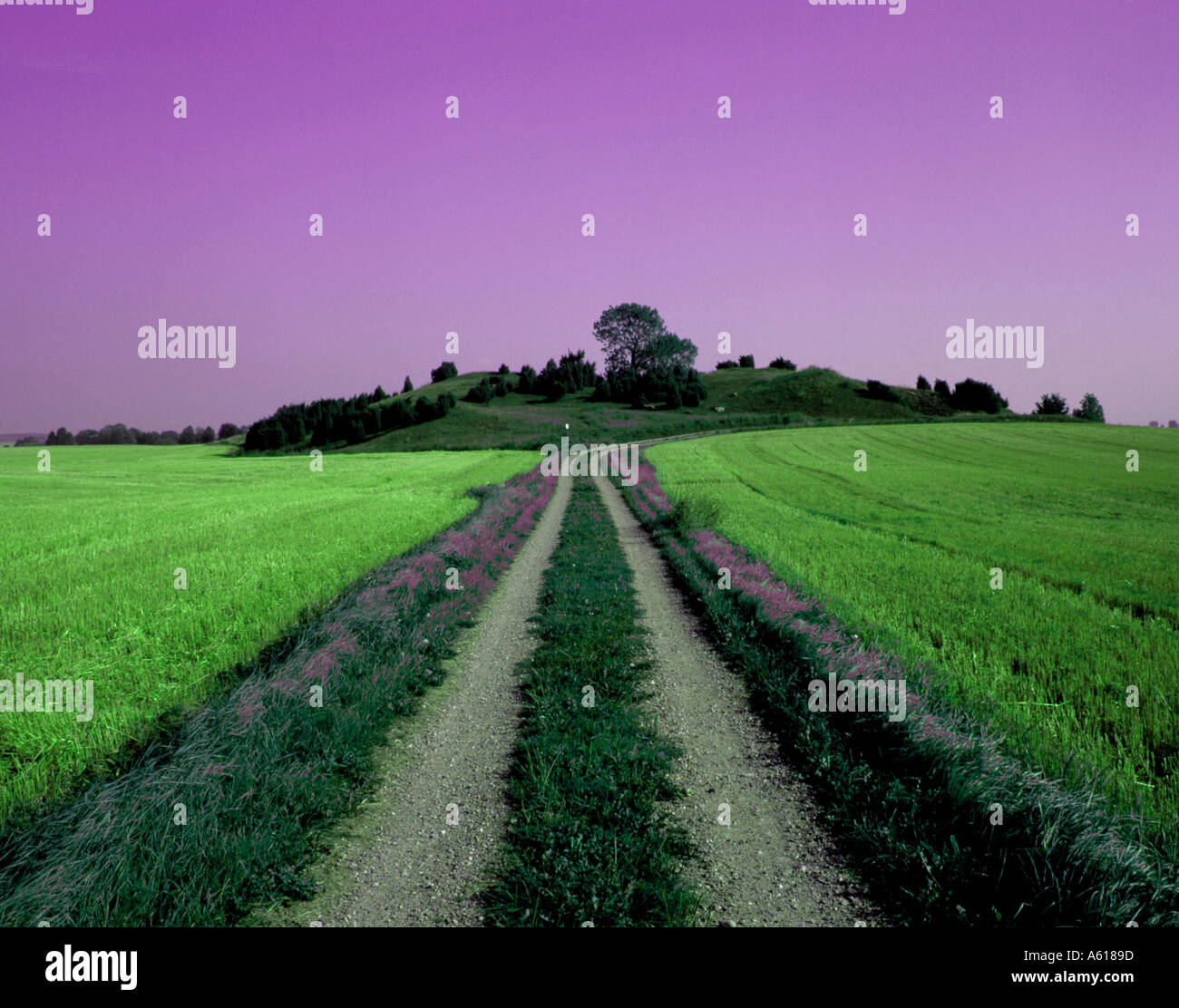 Phantasielandschaft Stockfoto