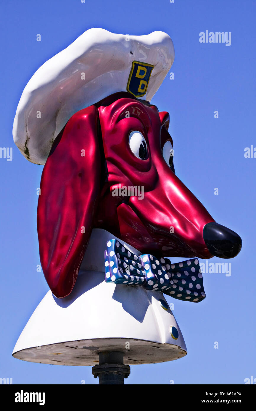 Alter Hund Kopf melden Sie San Francisco Kalifornien Stockfoto