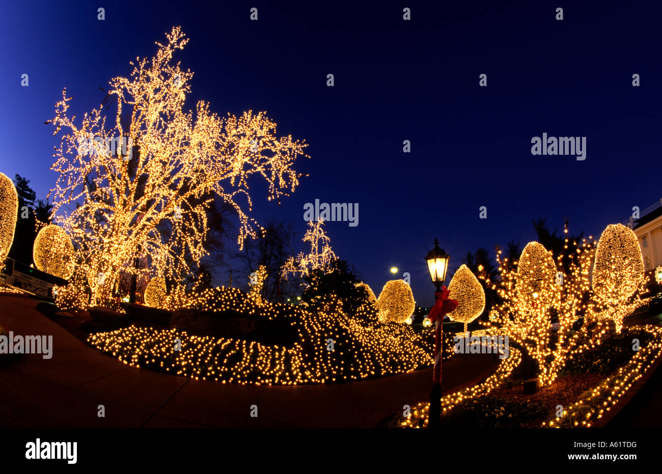 Melania Trumps Weihnachtsdeko Im Weißen Haus Spaltet Die