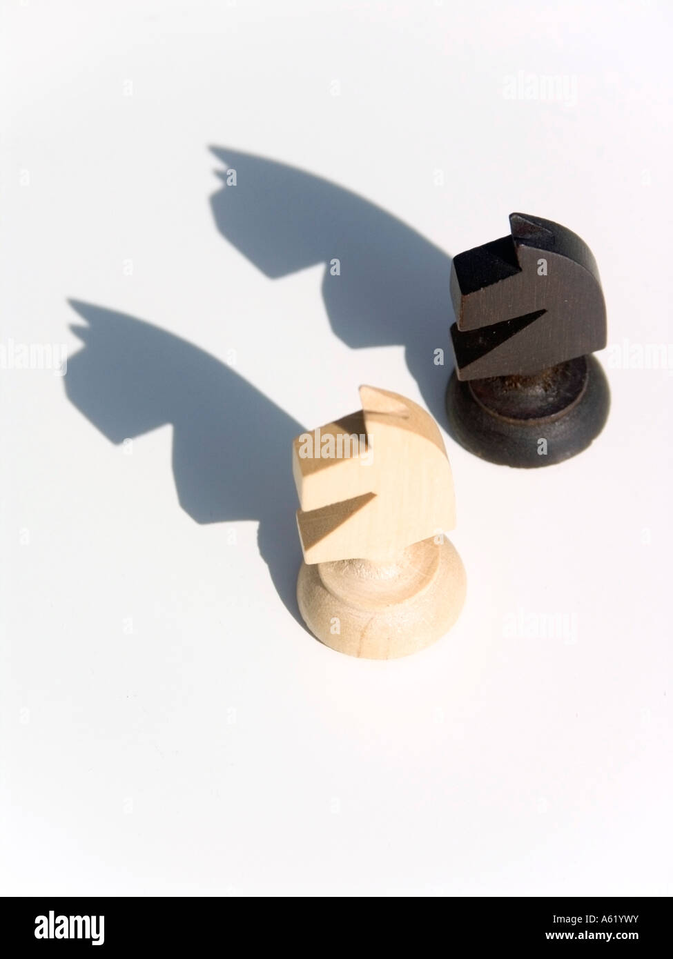 Schach-Pferde-Symbol Spiel Sport Wettbewerb Schlacht kämpfen Taktik Einsamkeit einzelne Politik Sieg Strategie weißen backgound Stockfoto