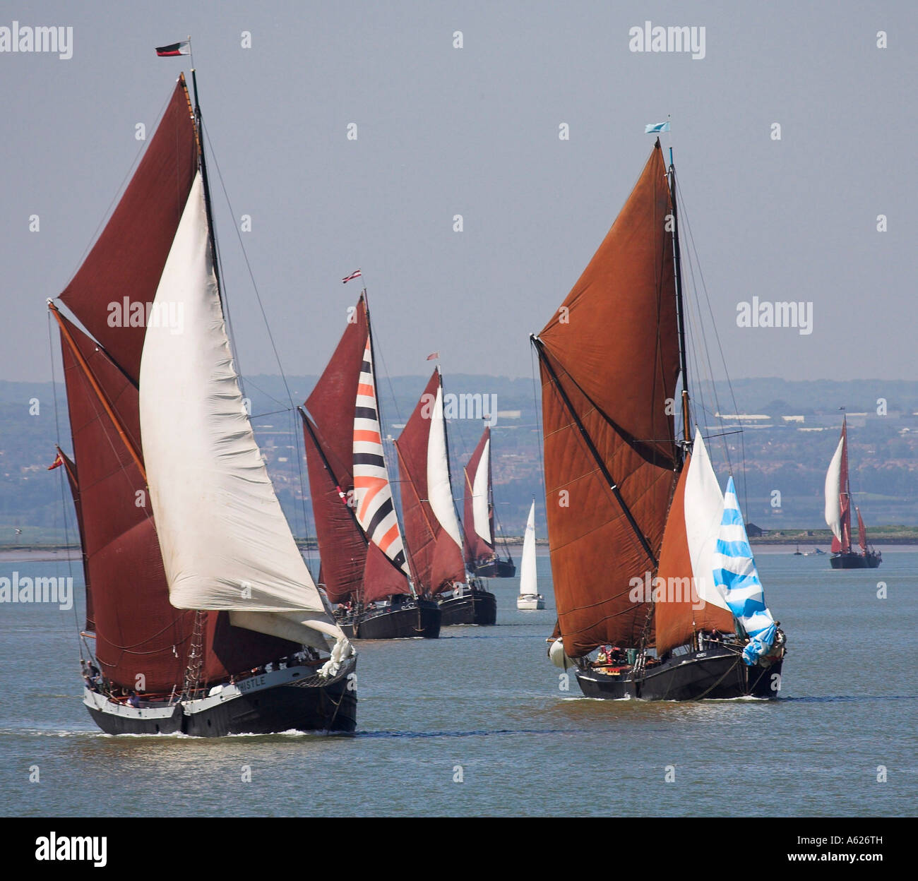 Themse Segeln Lastkähne racing Stockfoto