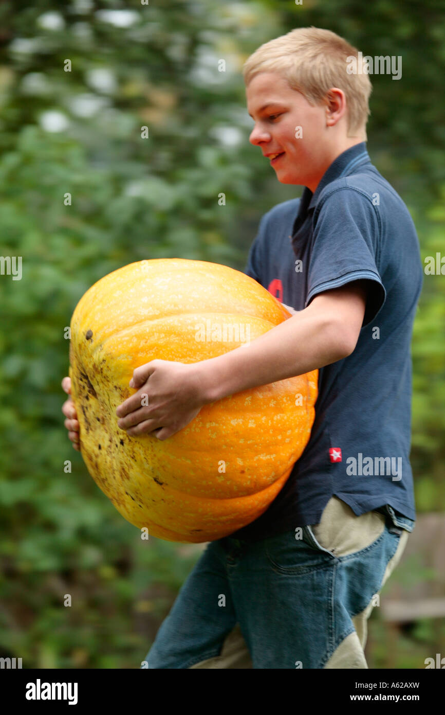 jungen tragen einen großen Kürbis Stockfoto