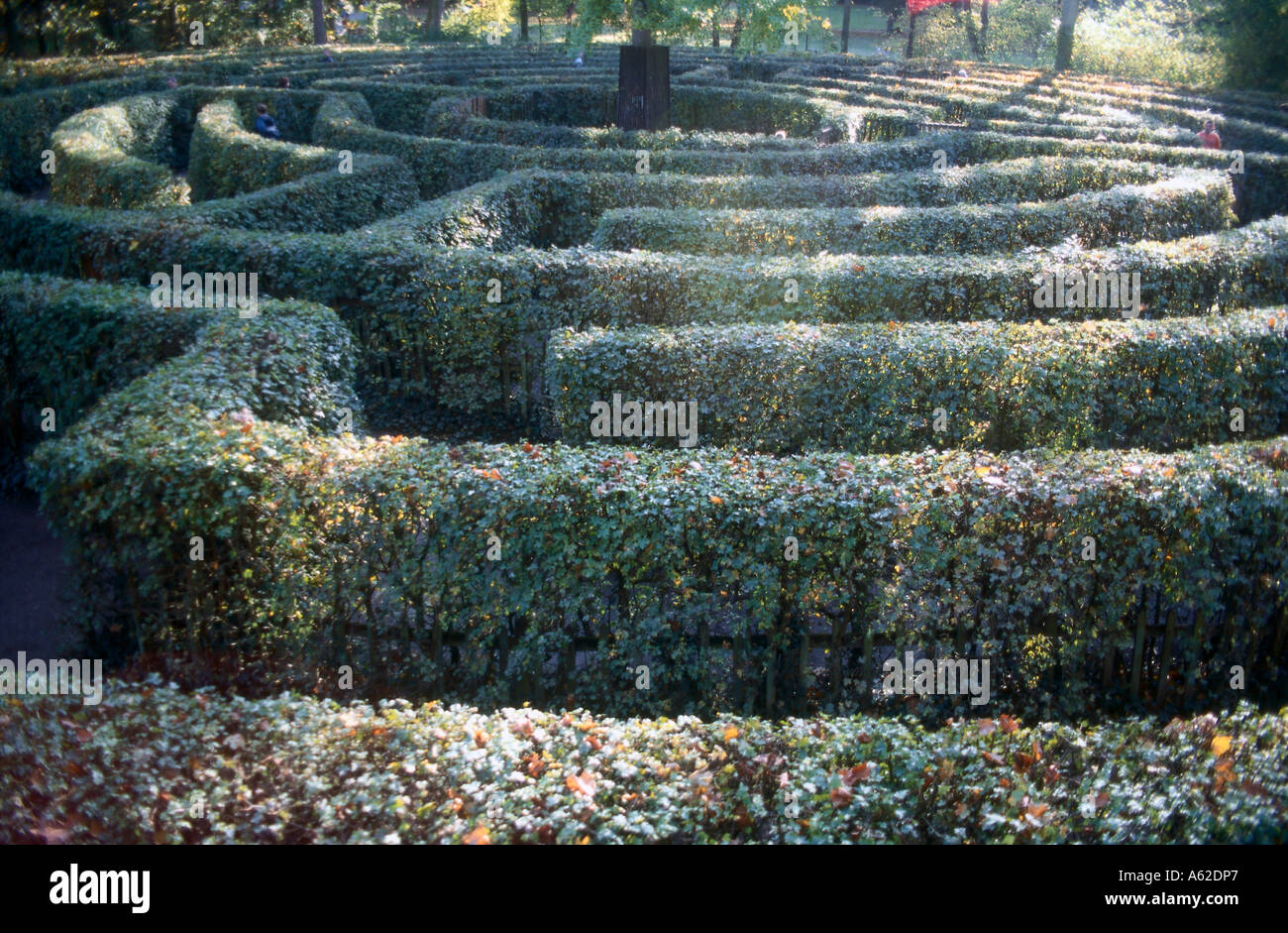 Labyrinth aus Hecken im Garten Stockfoto