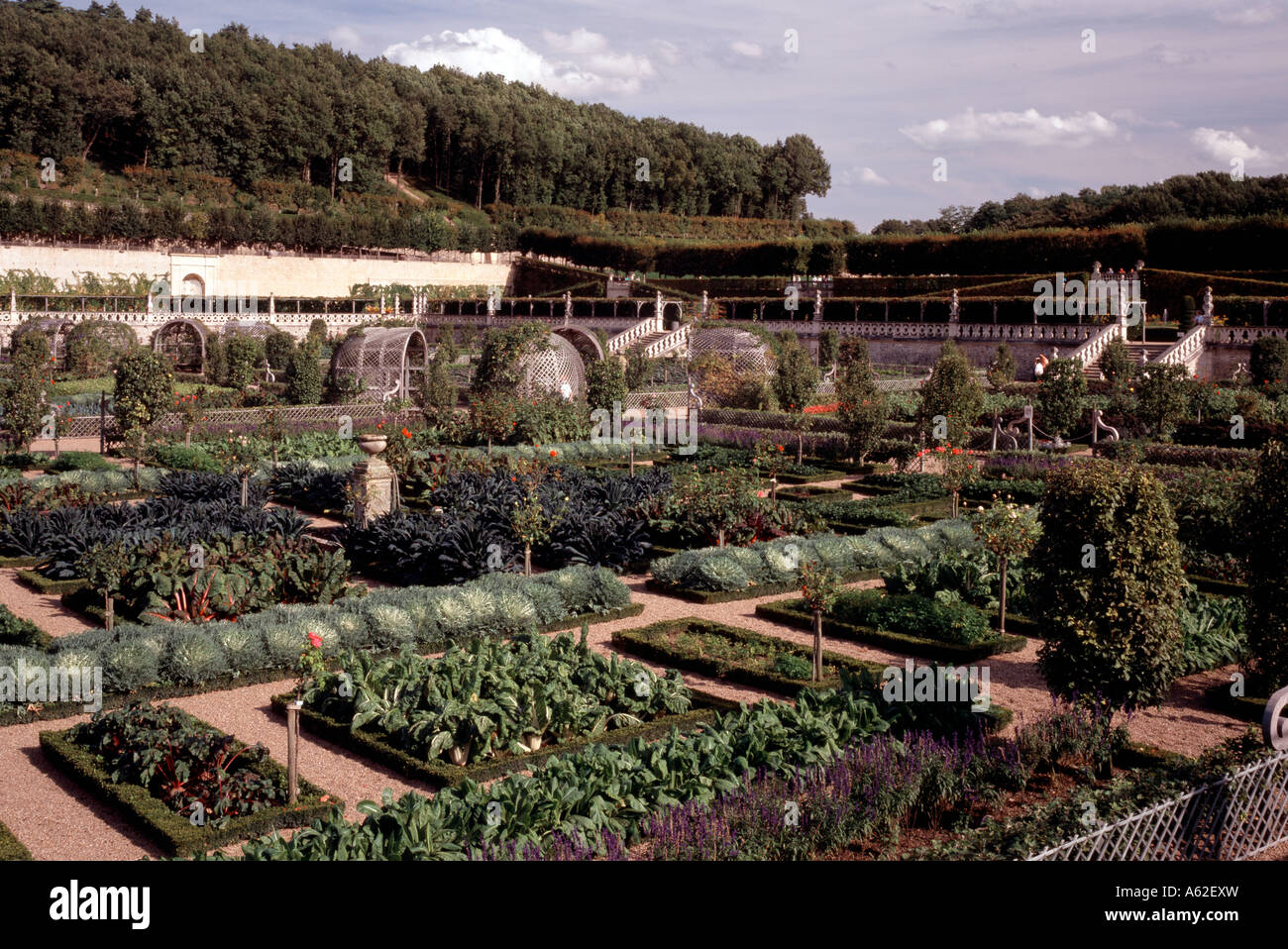 Le chateau de villandry Fotos und Bildmaterial in hoher Auflösung Alamy