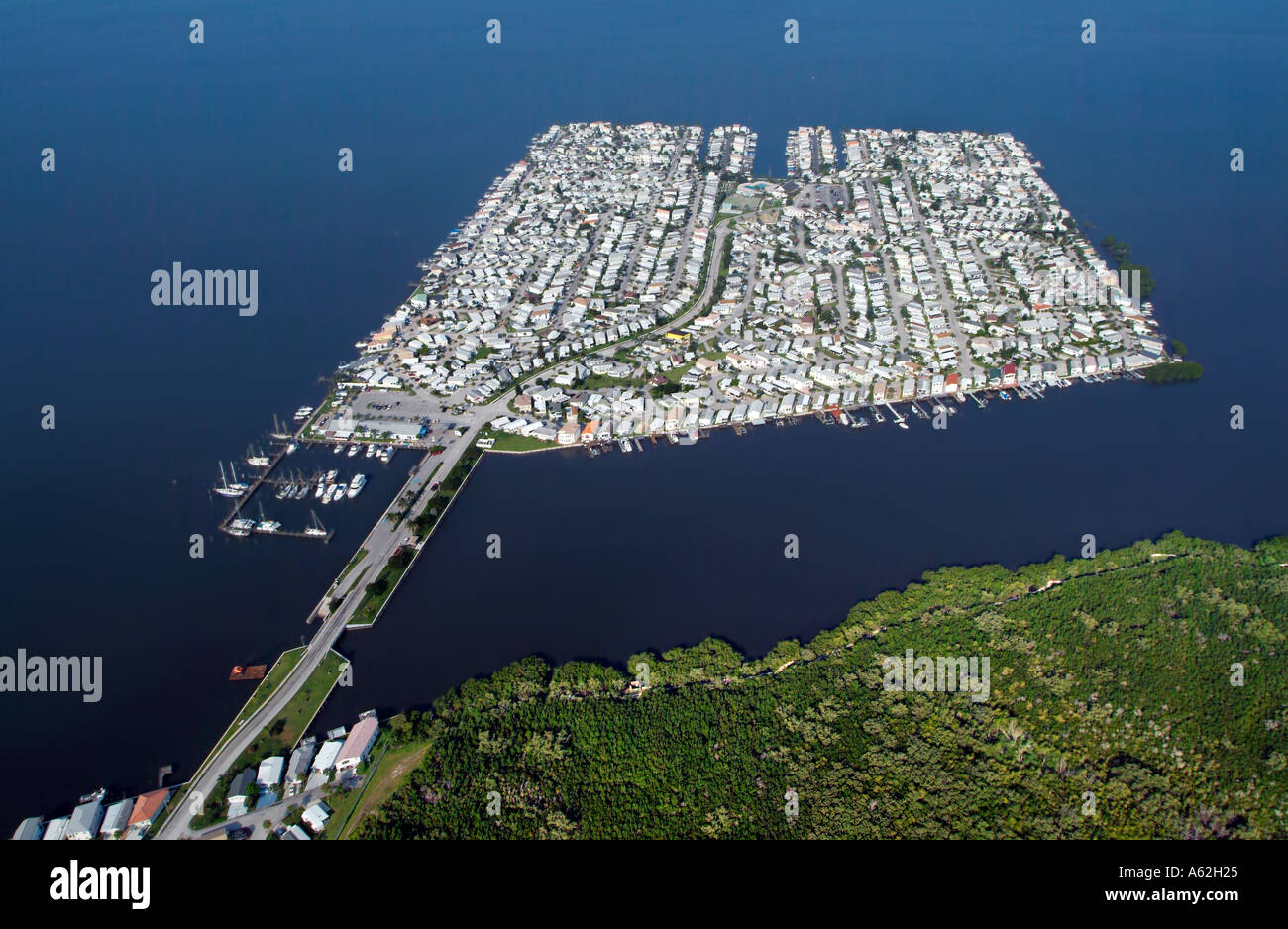 Brennnesseln Insel St. Lucie County Florida Port St Lucie künstlicher Insel Intracoastal Wasser-Strasse Stockfoto