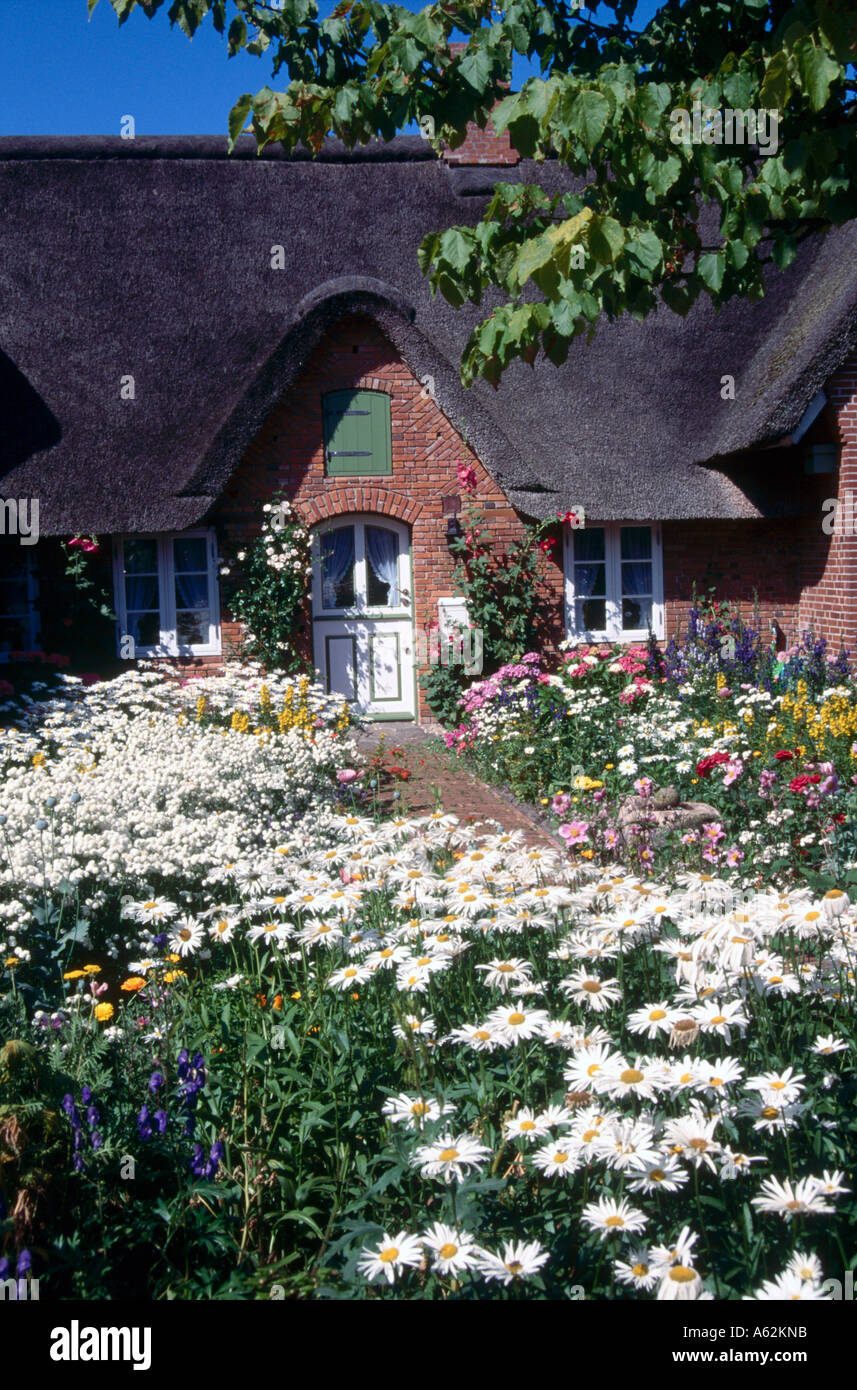 Blühende Pflanzen vor Haus, Schleswig-Holstein, Deutschland, Europa  Stockfotografie - Alamy