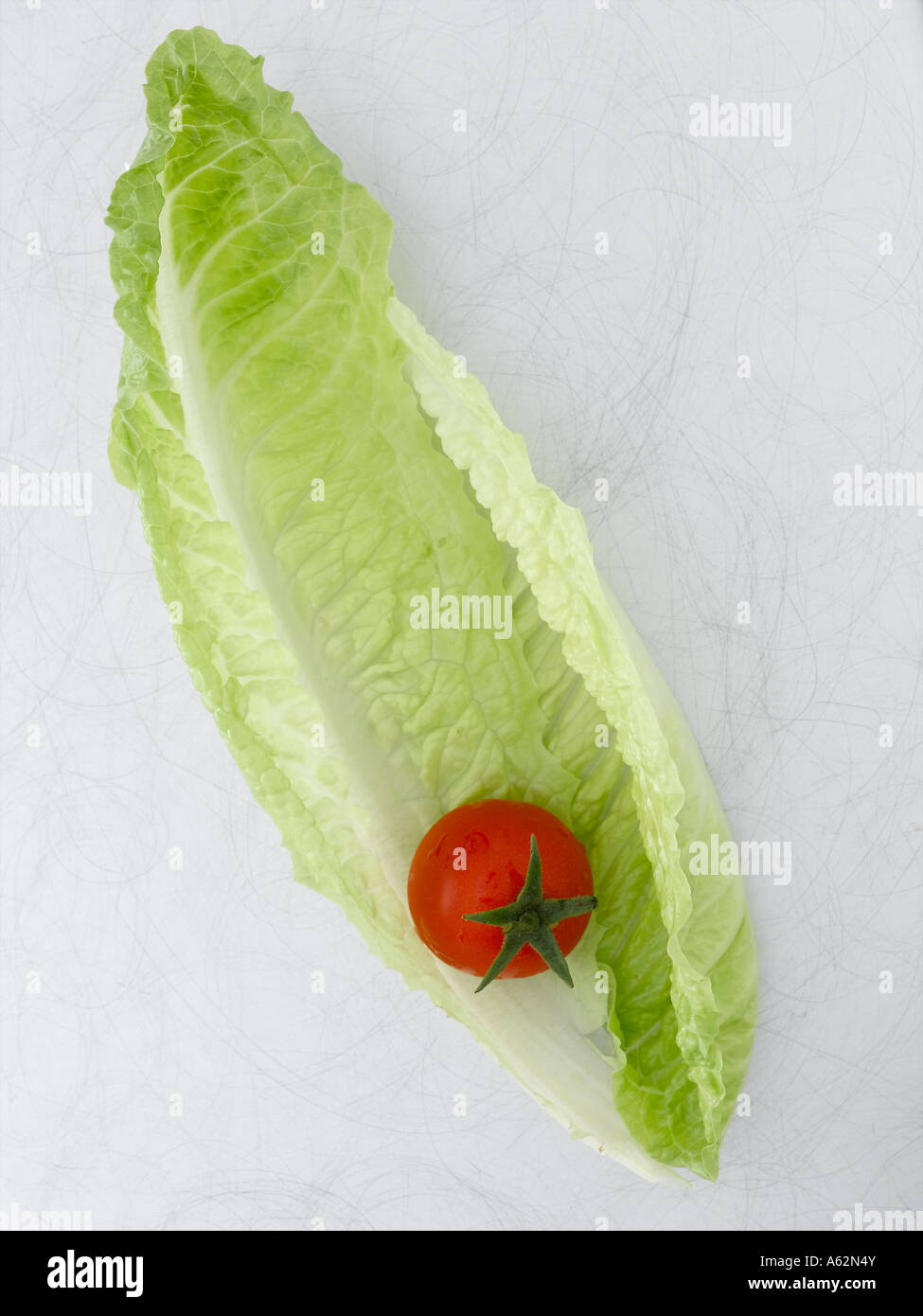 Salatblatt und Tomate auf Metall Hintergrund Stockfoto