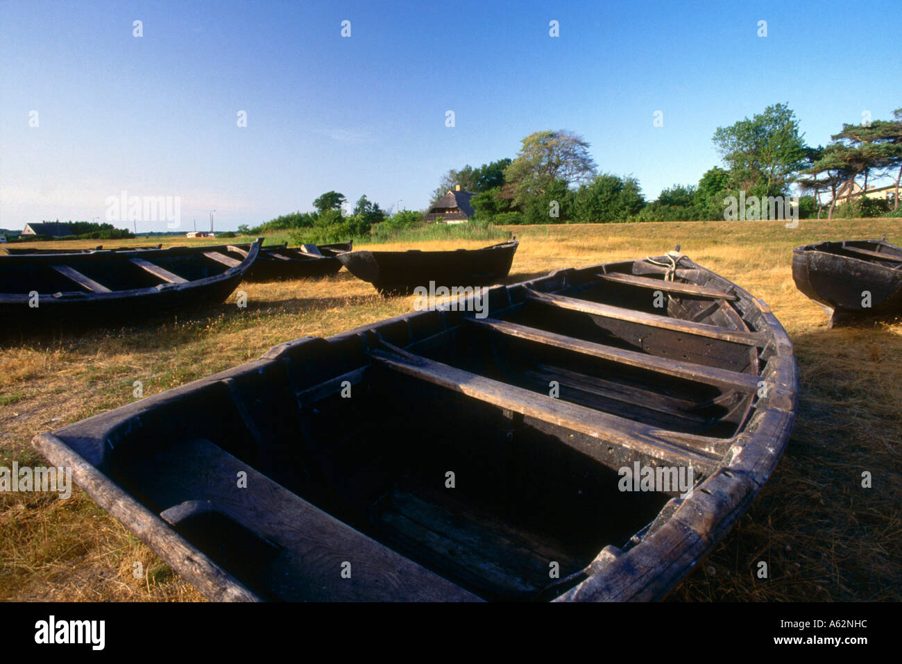 Boote in einem Feld, Rügen, Mecklenburg-West Pomerania, Deutschland Stockfoto