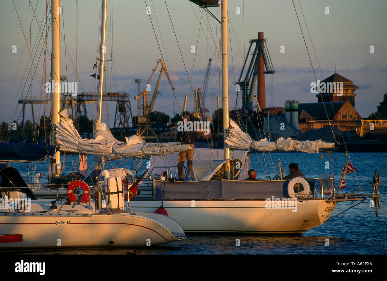 Segelboote am Hafen, Stralsund, Mecklenburg-Vorpommern, Deutschland Stockfoto