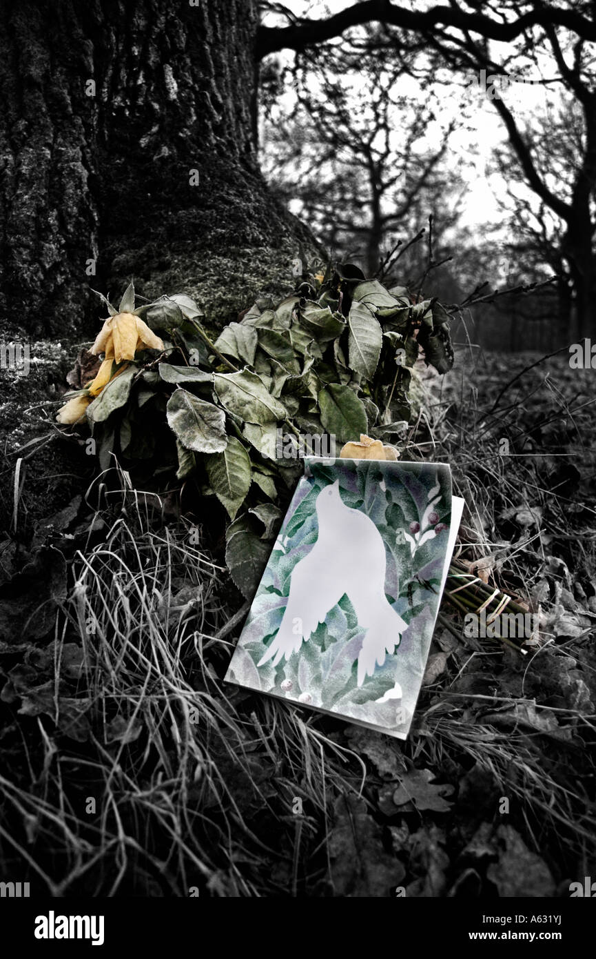 Blumen und eine Karte platziert im Wald zum Gedenken an einen verstorbenen Angehörigen Stockfoto