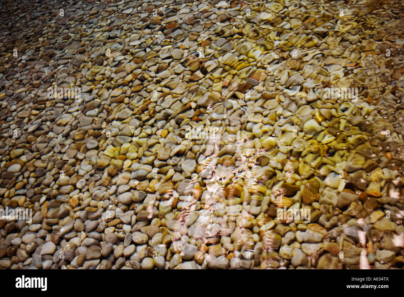 Erhöhte Ansicht Steine unter Wasser Stockfoto