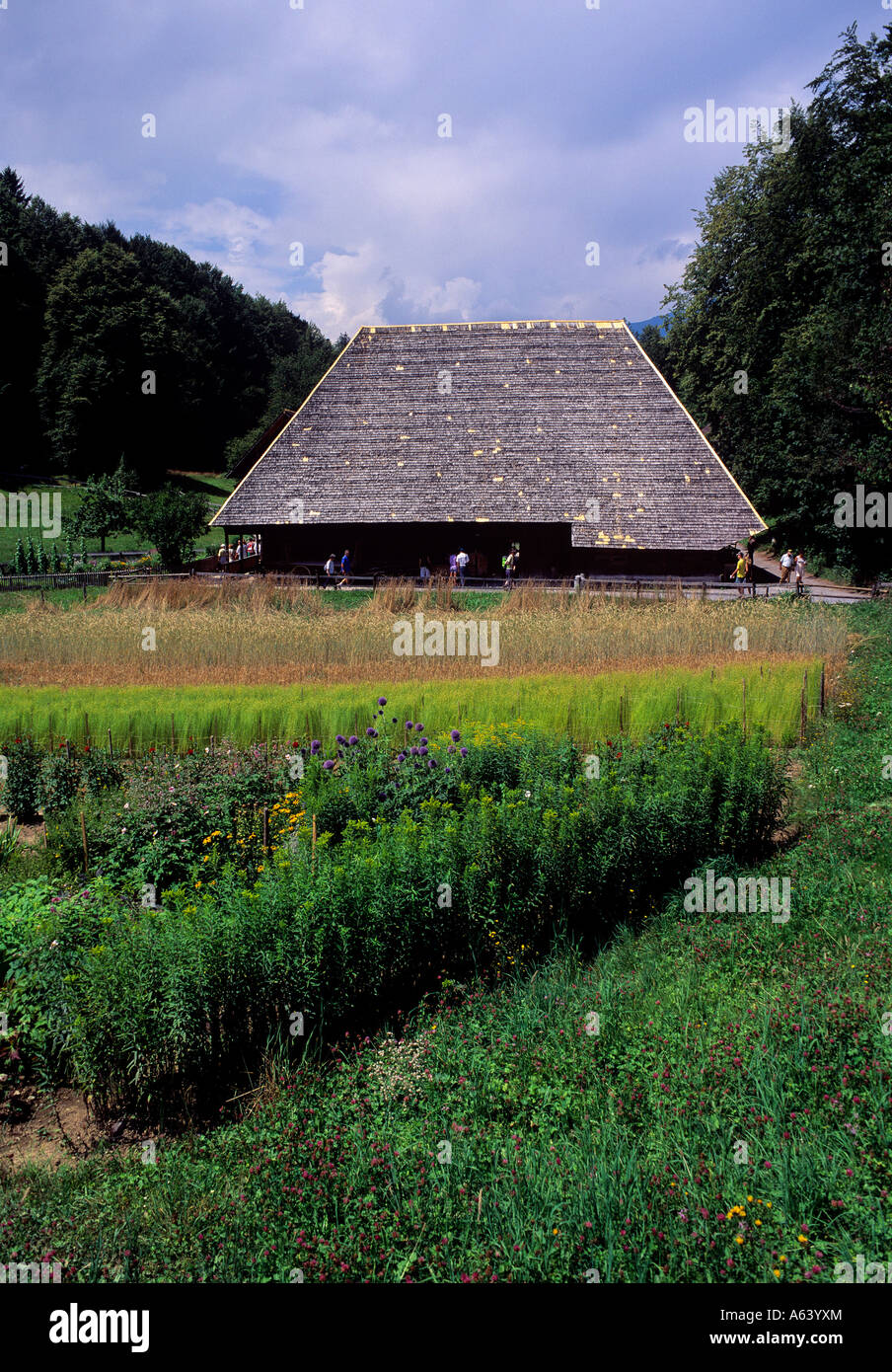 Bauernhaus im freien Dorfmuseum Ballenberg Region des Berner Highlands Alpes Kanton Bern Stockfoto