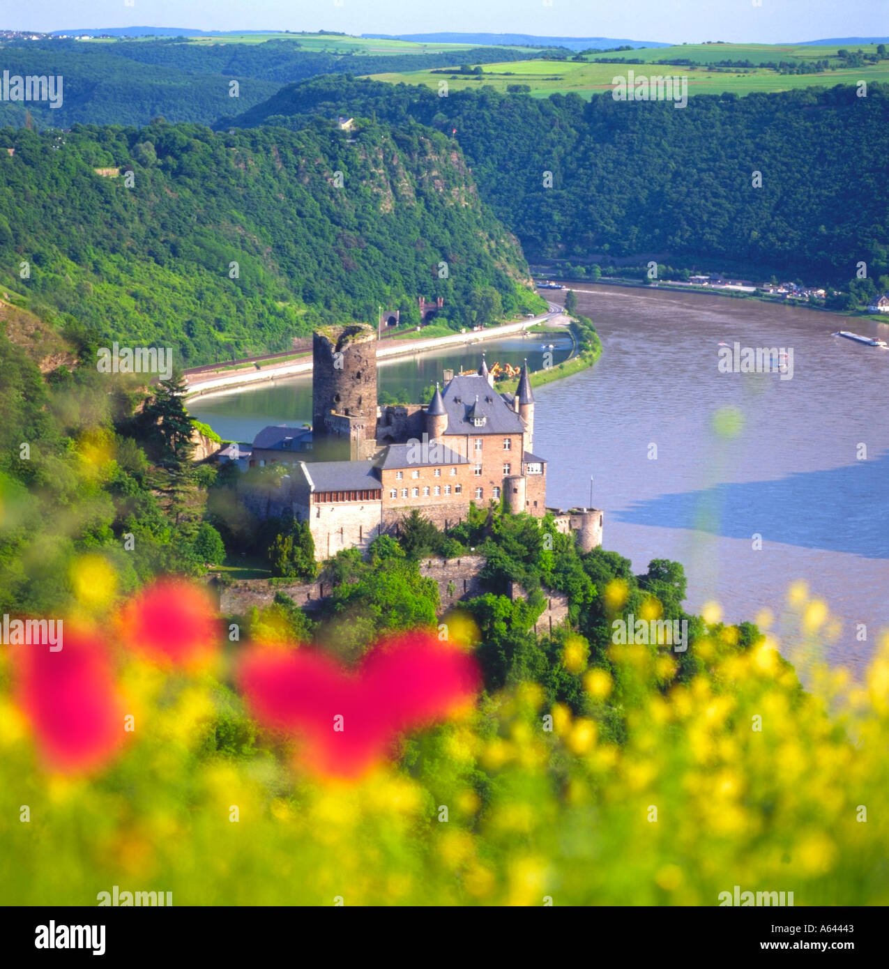 Rhein und deutschen Schloss Burg Katz Stockfoto