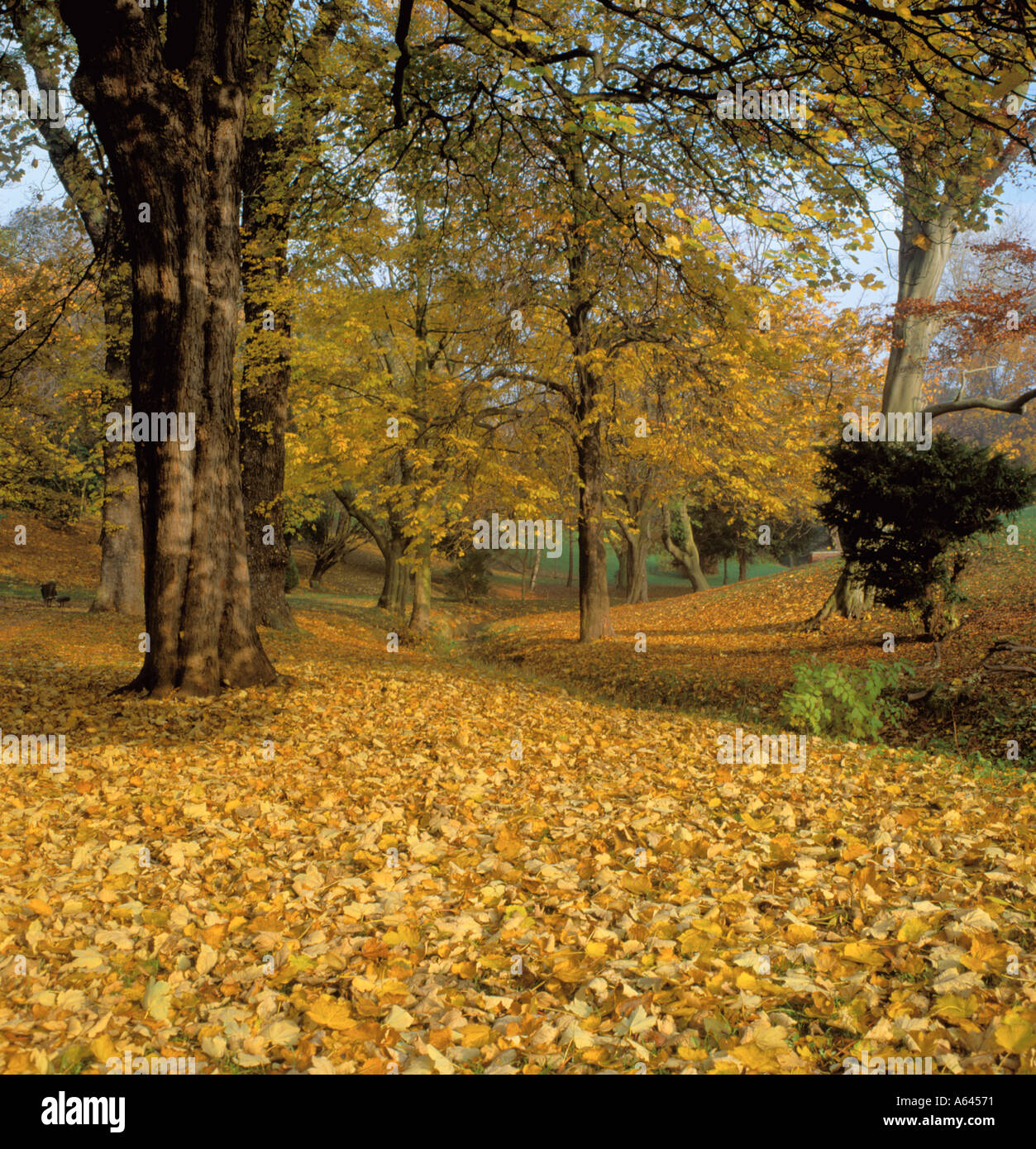 Herbst Park Szene; Backhouse Park, Sunderland, Wearside, Tyne and Wear, England, UK. Stockfoto