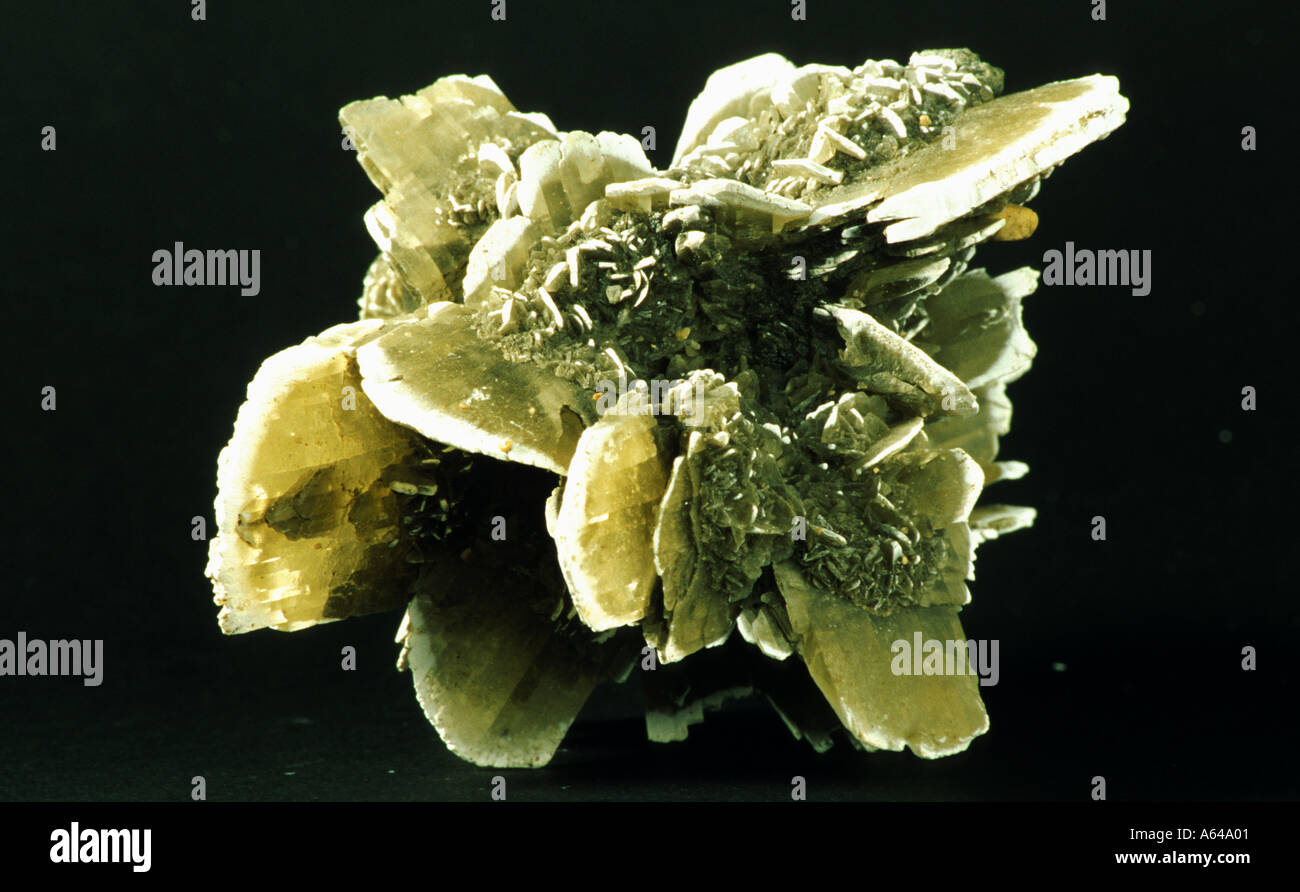 Gips Calcium-Sulfat Gipsrose aus Alabastergips Stockfoto