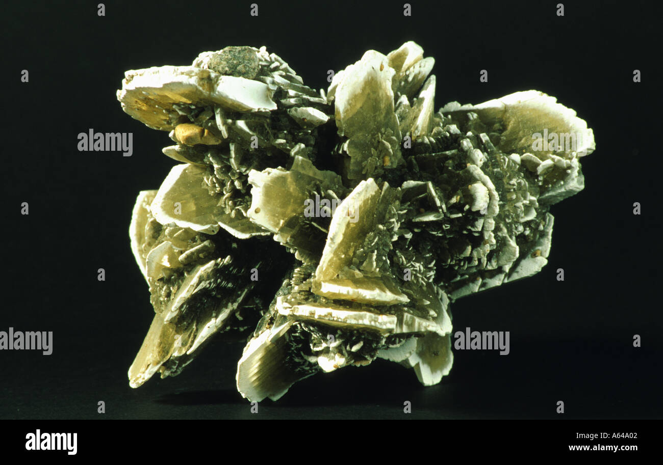 Gips Calcium-Sulfat Gipsrose aus Alabastergips Stockfoto