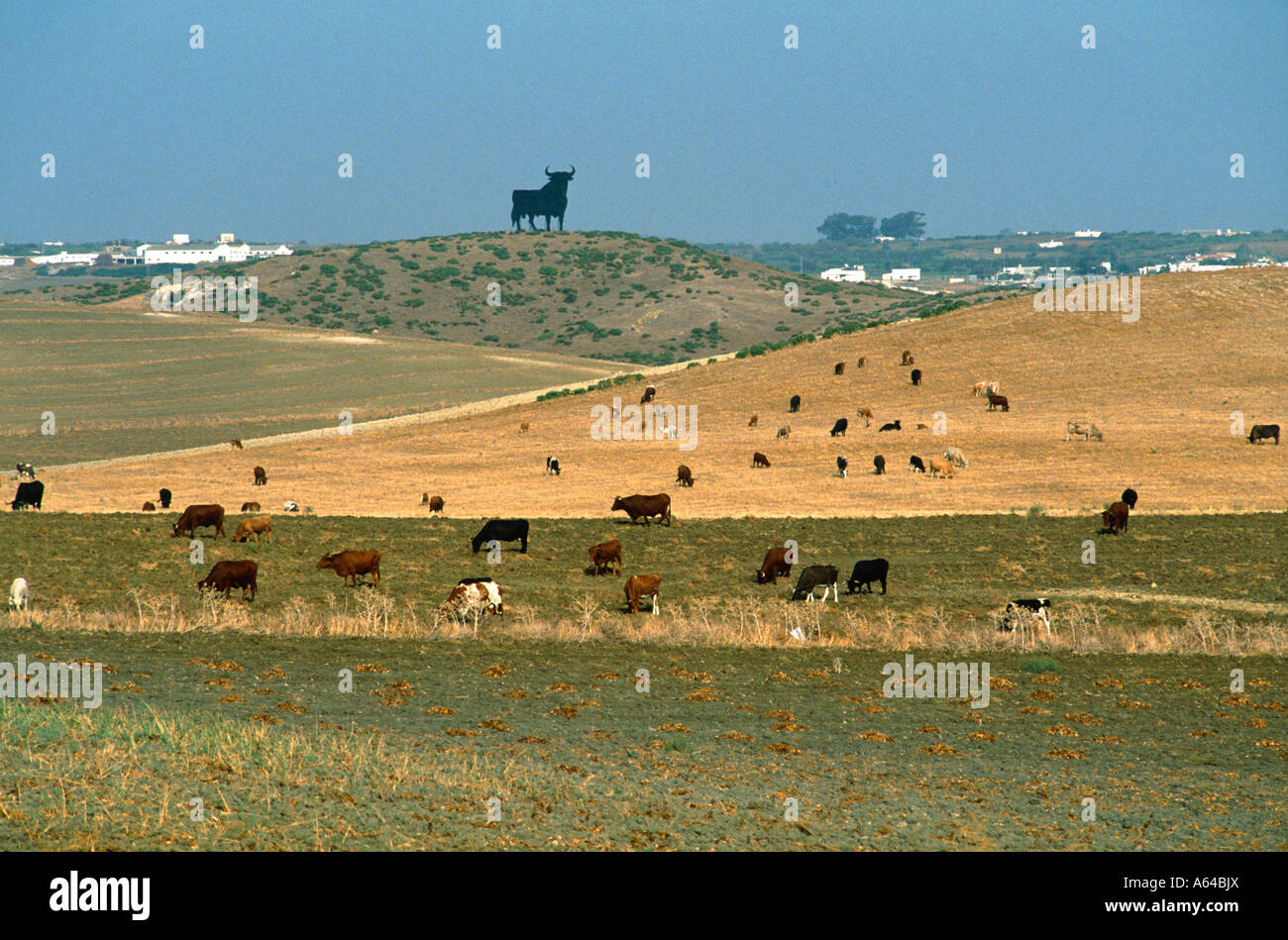 Bull-Anzeige von Osborne Sherry Weingut in der Nähe Stadt Jerez De La Frontera Andalusien Spanien nur zur redaktionellen Verwendung und Umgebung: Stockfoto