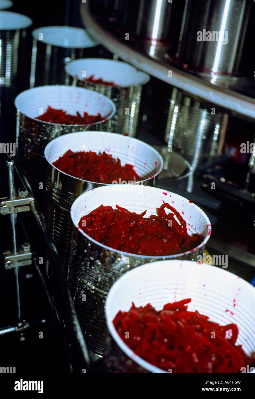 Konservenfabrik für zerkleinerte rote Beete Stockfoto