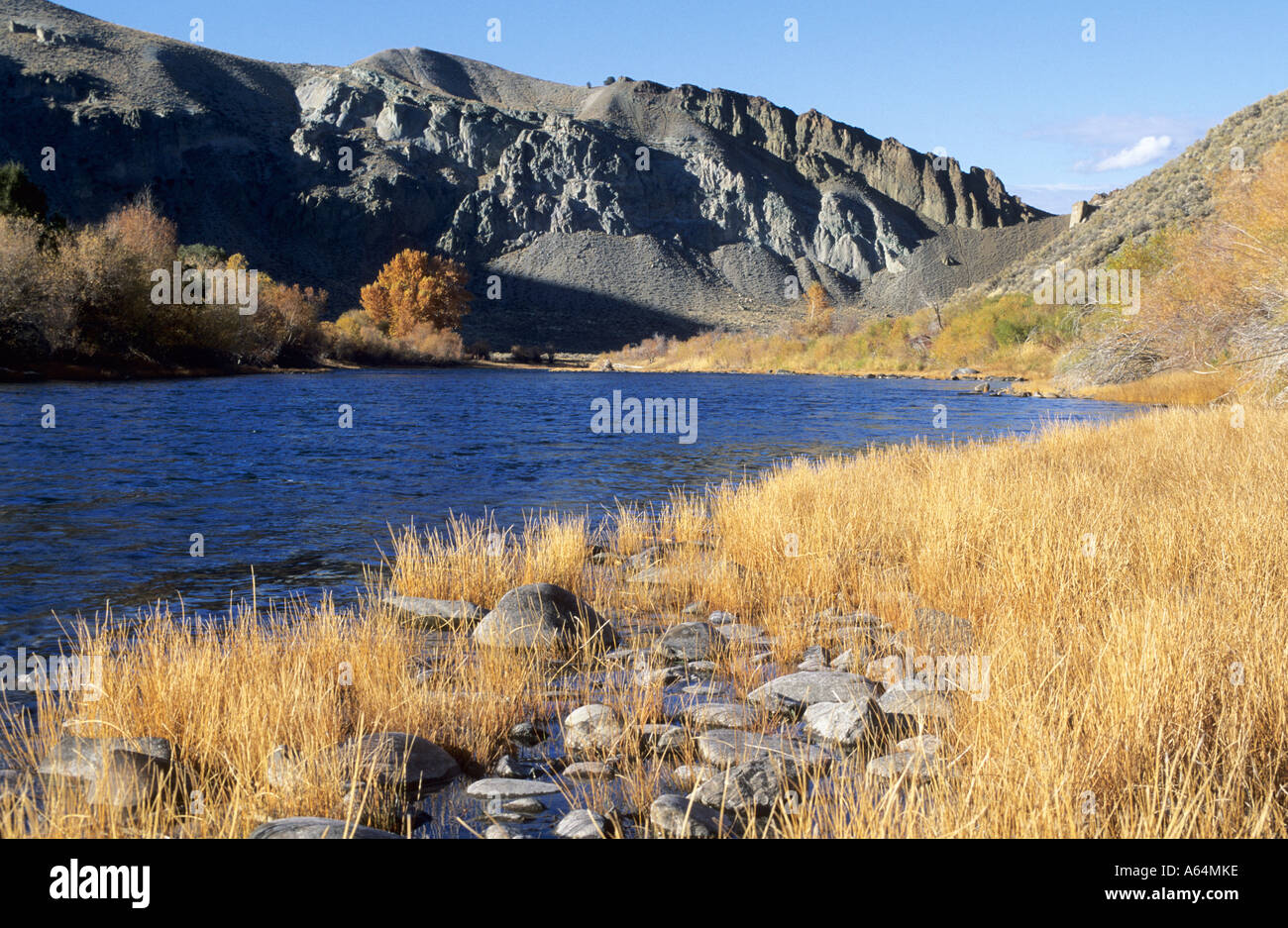 Salmon River in der Nähe von Challis, Lewis & Clark Trail, Idaho, USA Stockfoto
