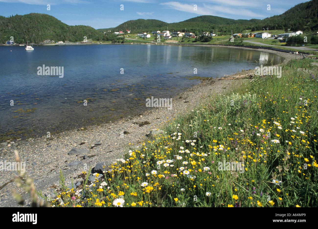 Bucht in Norris Point in der Nähe von Gros Morne National Park, Neufundland Stockfoto