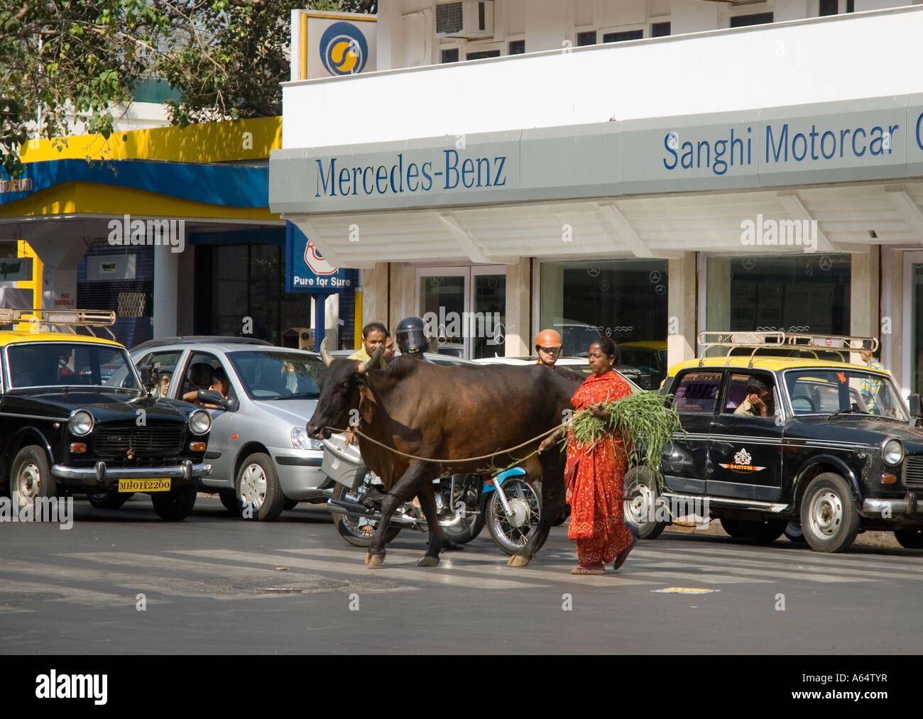 Eine Dame mit ihrer Kuh geht vorbei an der Mercedes-Garage in Mumbai Indien Stockfoto