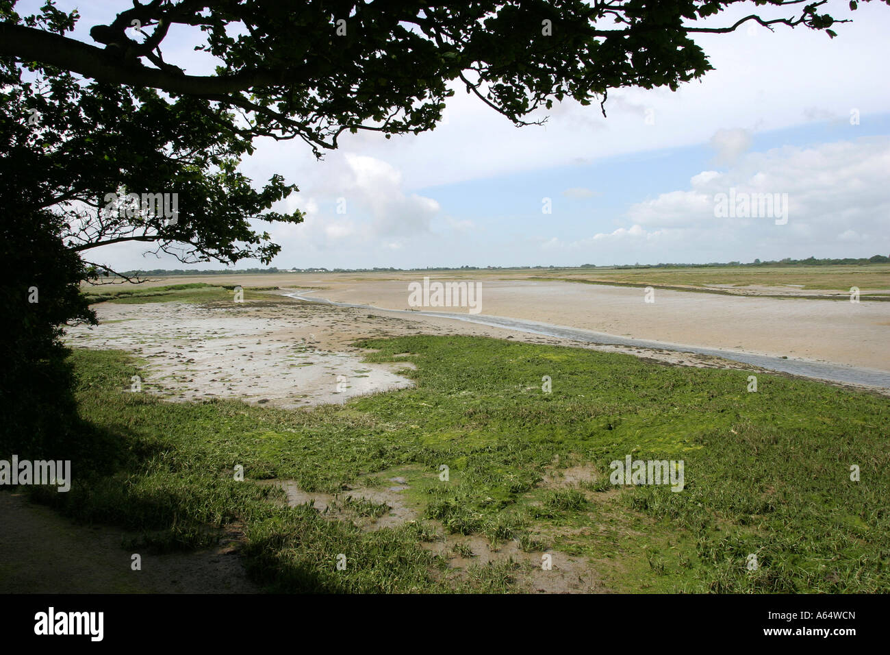 UK West Sussex Pagham Harbour Naturschutzgebiet Stockfoto