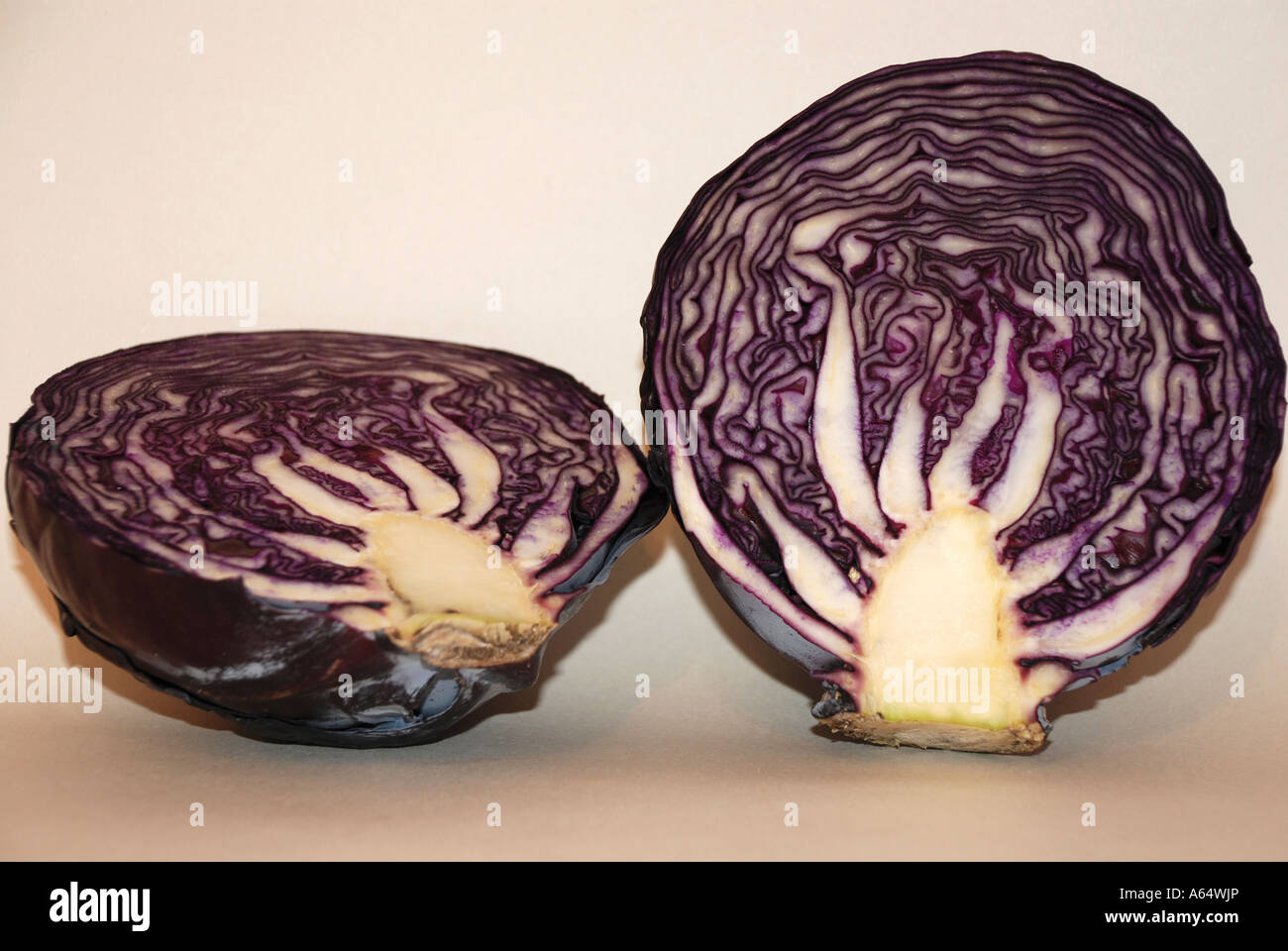 Rotkohl Stockfoto