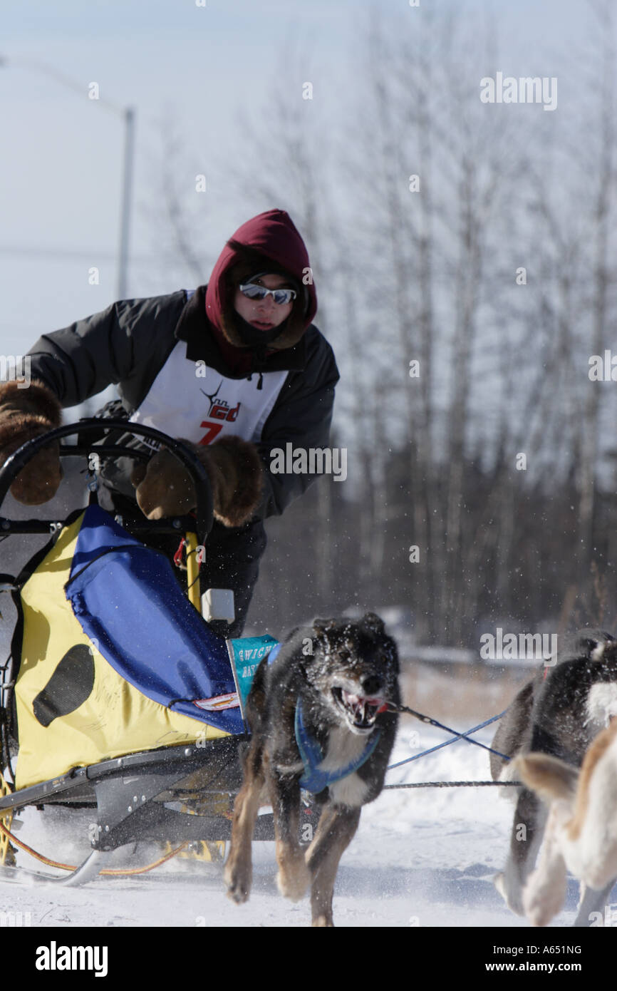 Ein Musher und seinem Teamrennen in der 2007 Open North American Championships Hundeschlittenrennen, Fairbanks, Alaska. Stockfoto