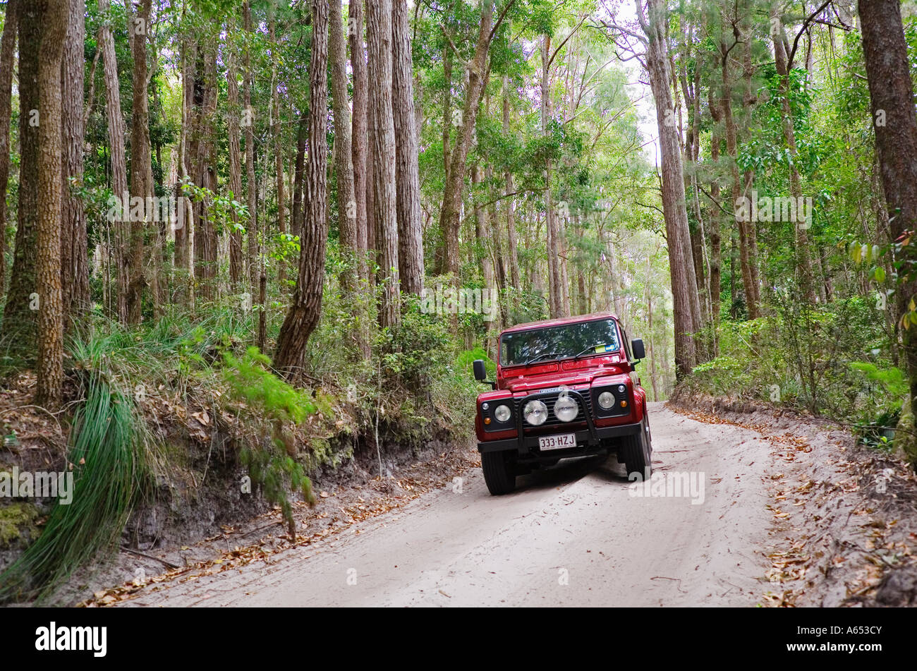 Ein Allradfahrzeug macht seinen Weg über die sandigen Straßen von Fraser Island Interieur Stockfoto