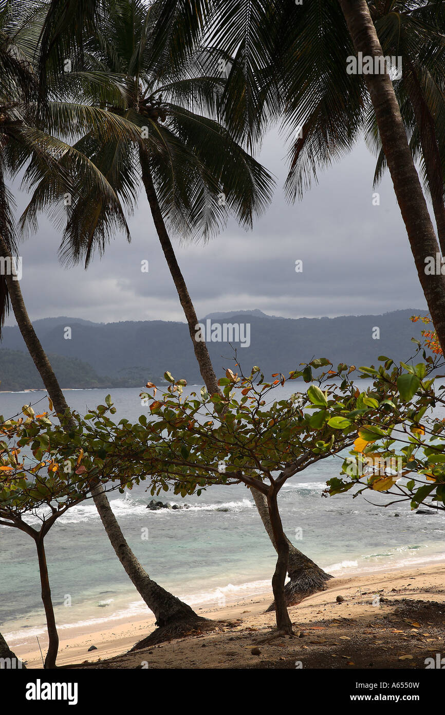 Ein Strand an der Ilheu Das Rolhos Island Resort im Süden von Sao Tome und Principe im Schatten von Kokospalmen Stockfoto
