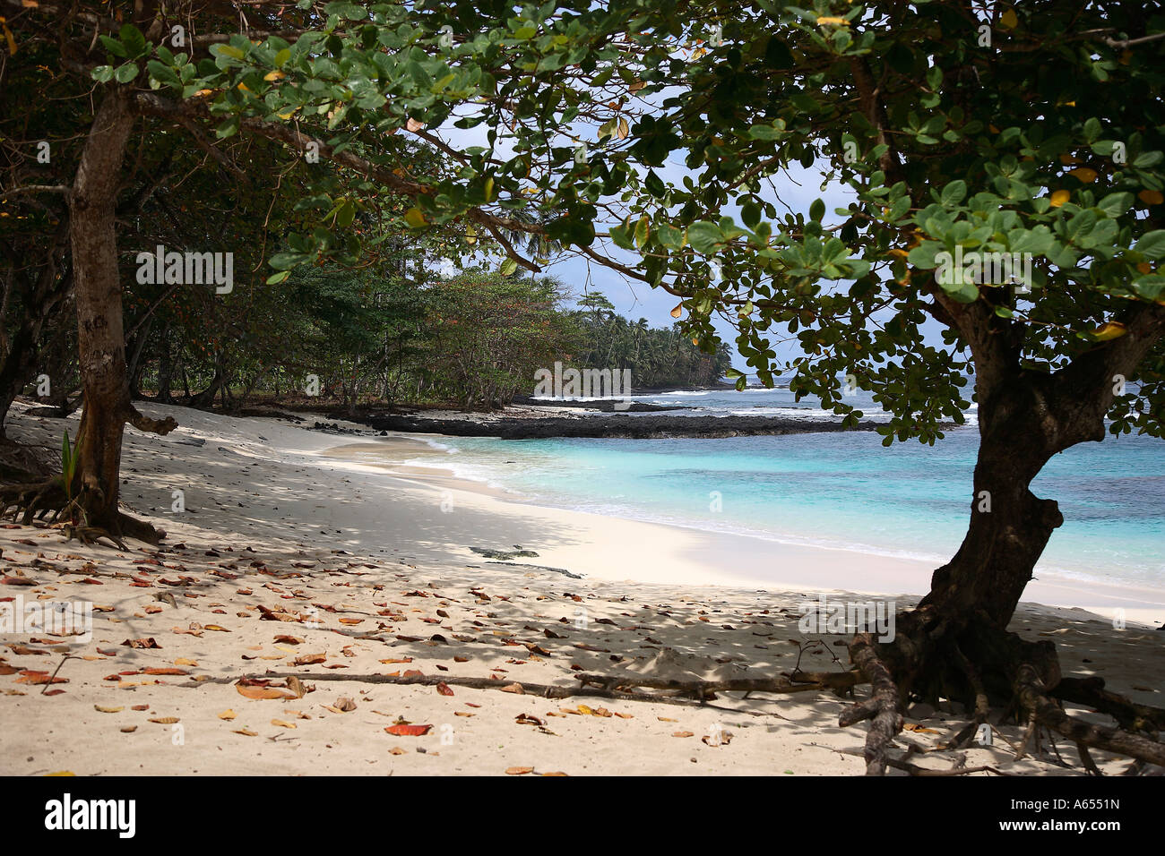 Carouceiro Bäume mit Blick auf einen Strand auf der Ilhéu Das Rolas im Süden von Sao Tome Stockfoto
