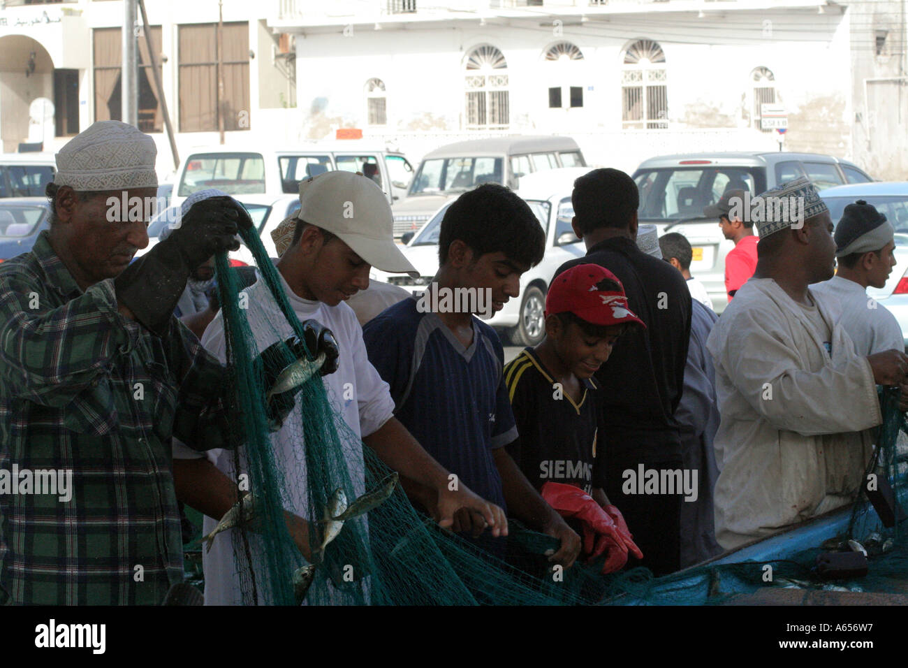 Muscat, Oman, der Besitzer von einem Fangeinsatz und seine Familie ziehen Fisch aus einem Netz an den docks Stockfoto