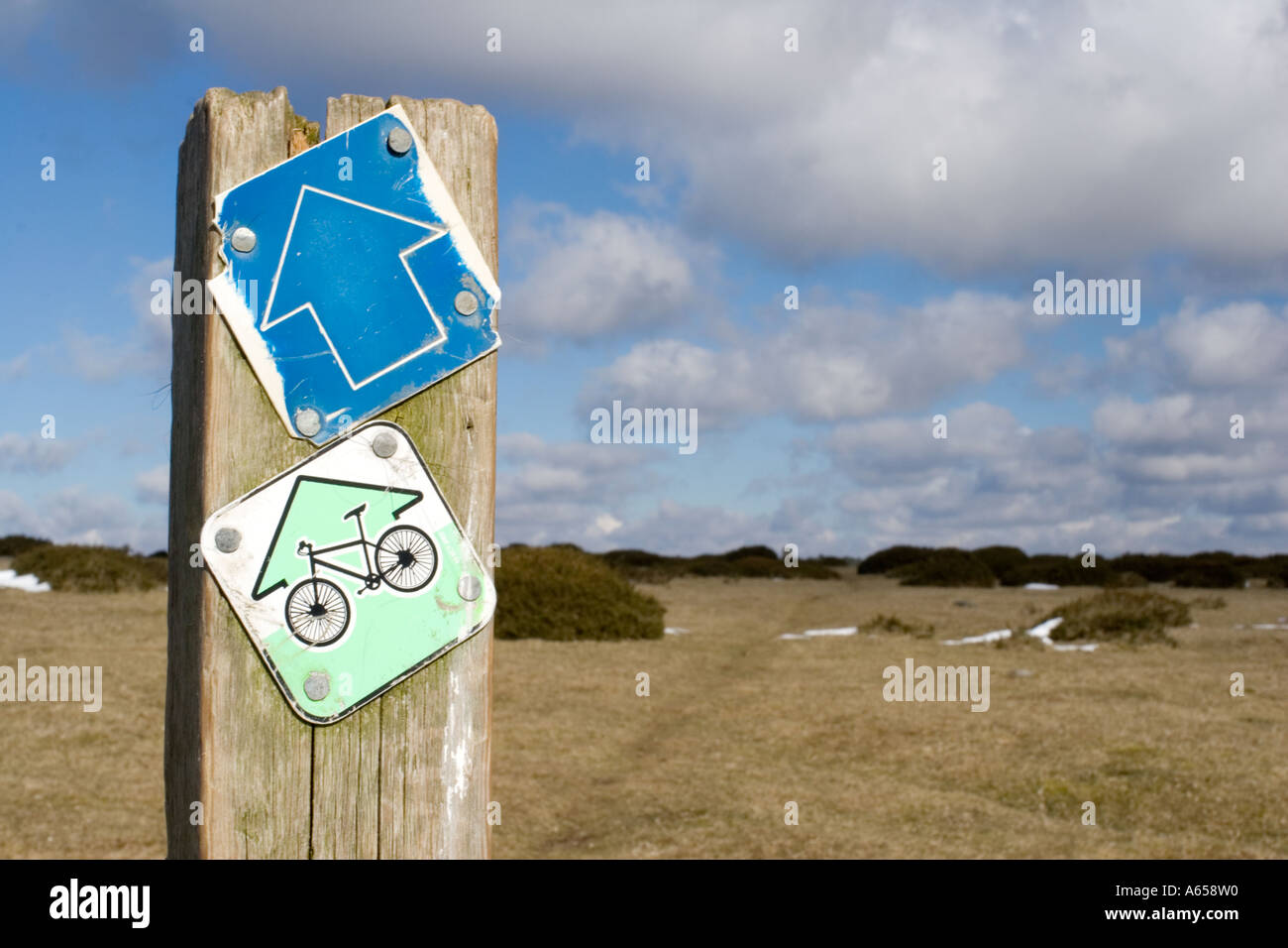 Hergest Ridge, auf dem Offas Dyke Fußweg zwischen Kington in Herefordshire und Hay on Wye. Stockfoto