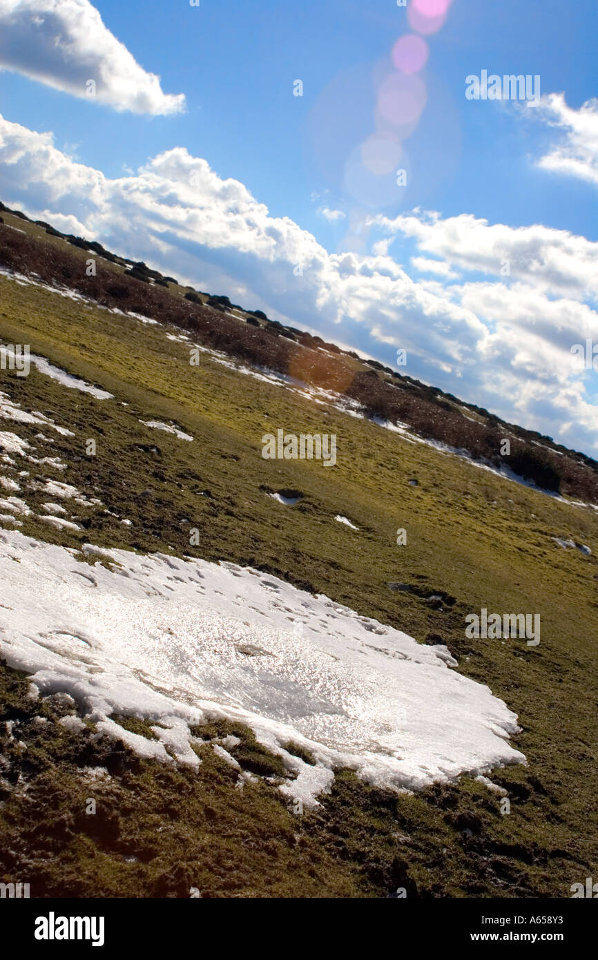 Hergest Ridge, auf dem Offas Dyke Fußweg zwischen Kington in Herefordshire und Hay on Wye. Stockfoto