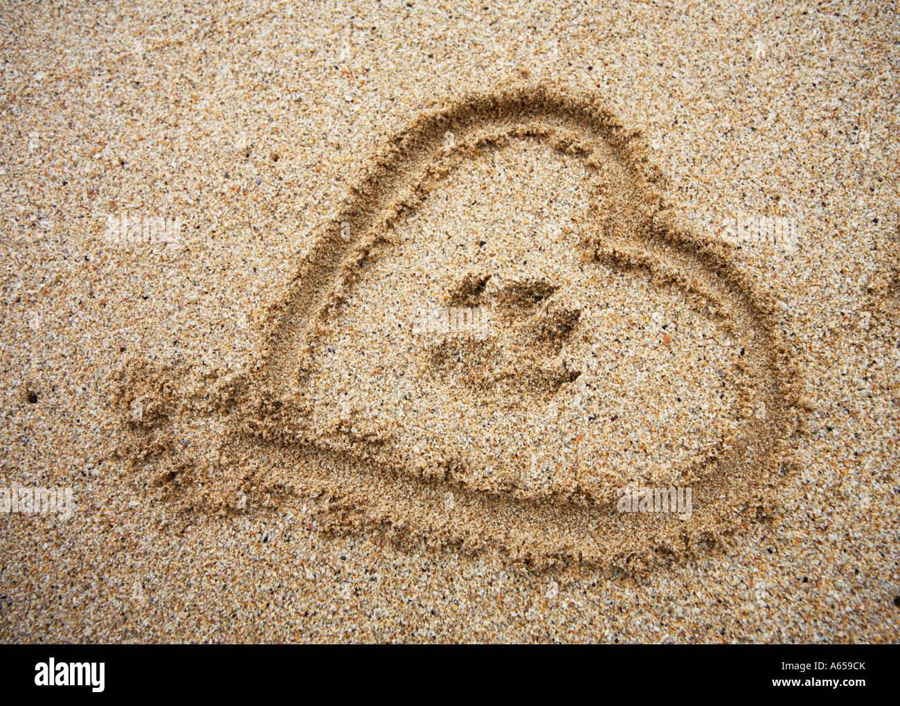 Des Hundes Paw Print mit Herz im Sand Stockfoto