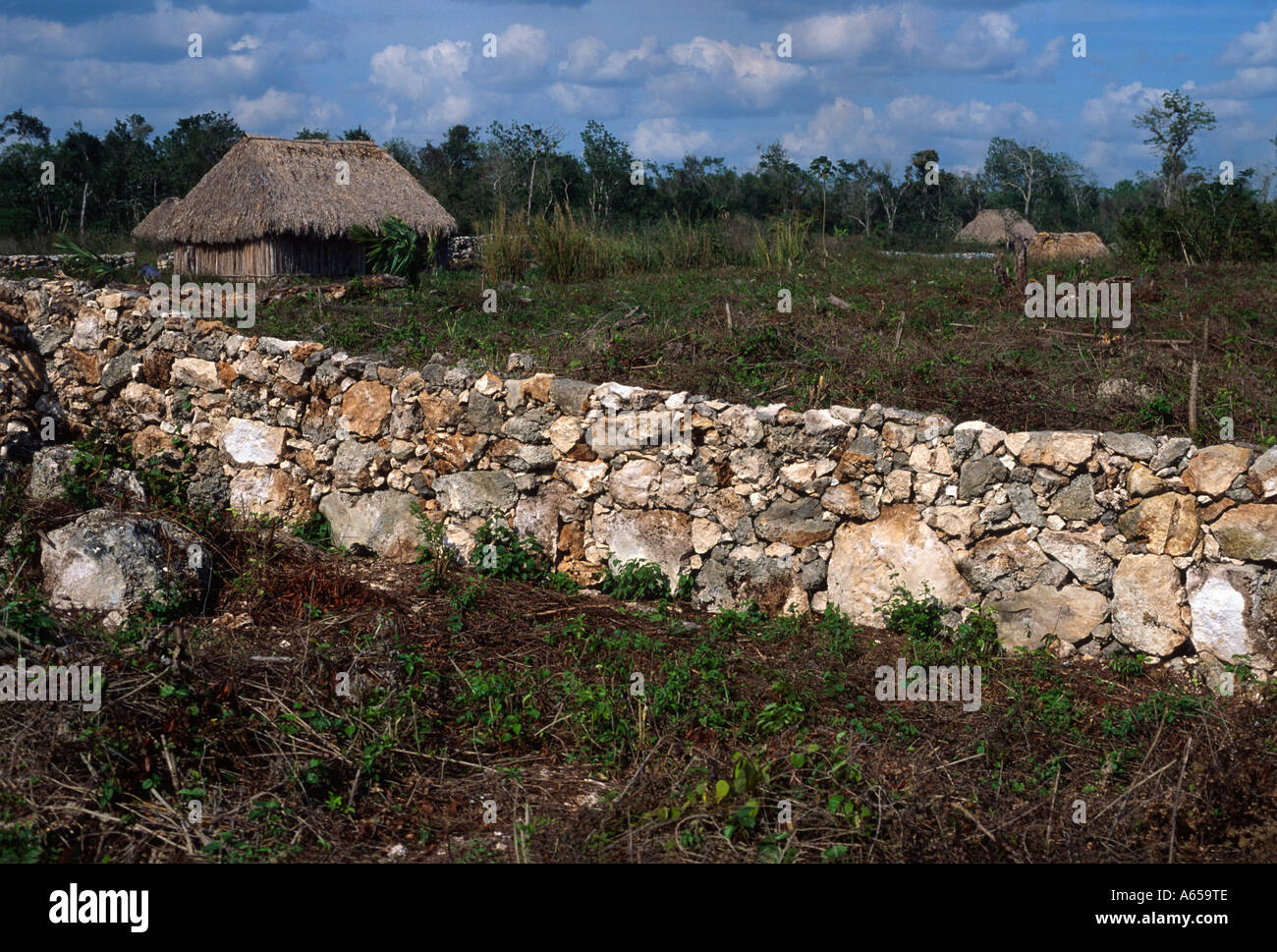 Maya-Haus, Bauernhof, Steinmauer und Feld, Halbinsel Yucatan, Quintana Roo, Mexiko Stockfoto