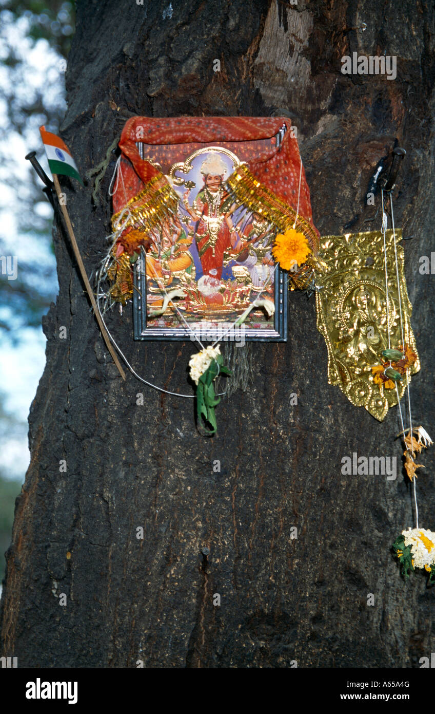 Mumbai Indien verzierten Straße Schrein auf Baum Stockfoto Mumbai Indien verzierten Straße Schrein auf Baum Stockfoto