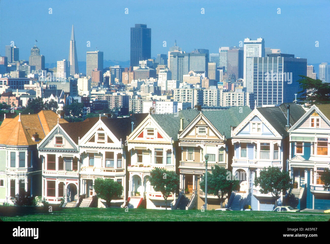 Viktorianische Häuser Alamo Park San Francisco Kalifornien, USA Stockfoto
