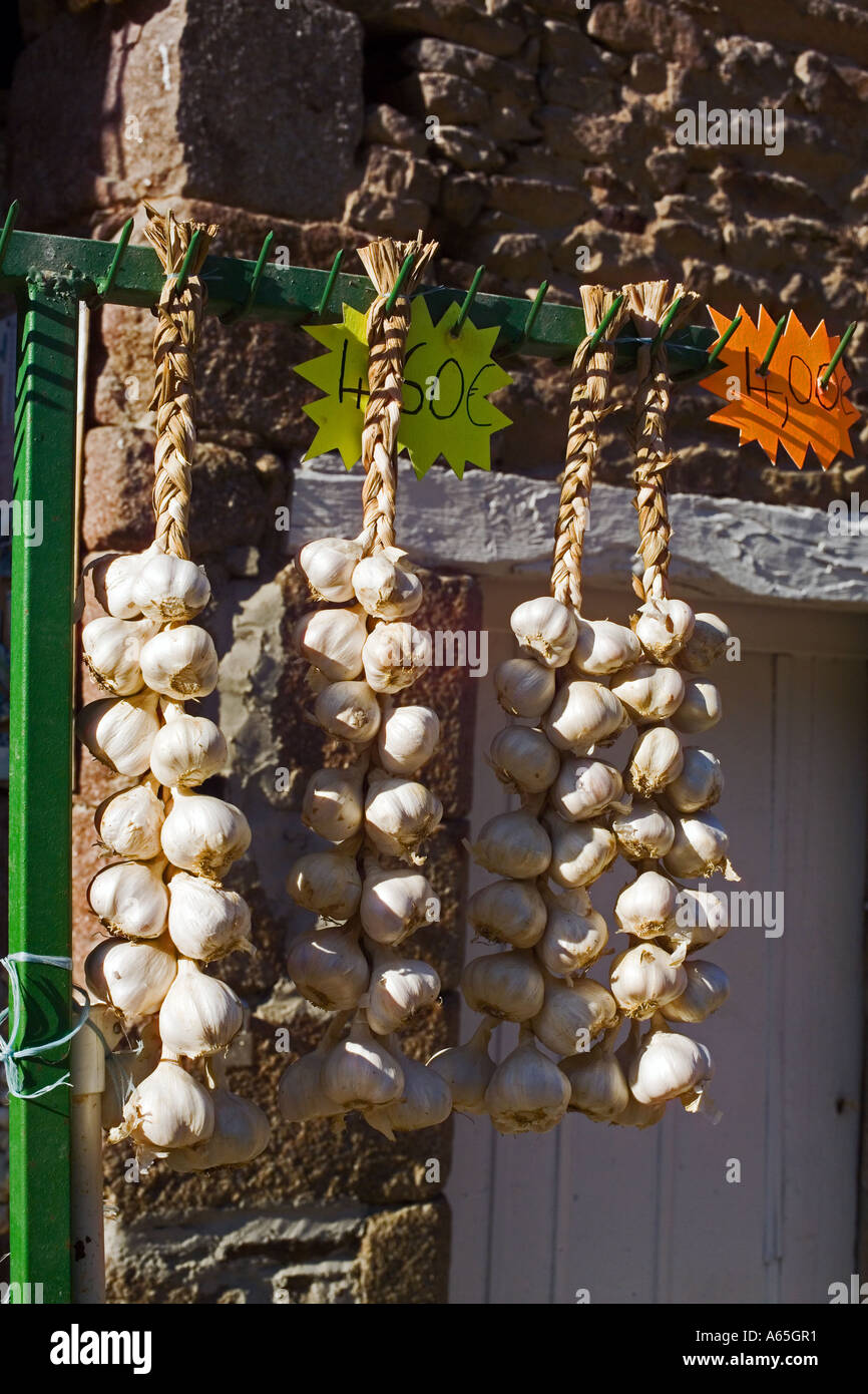 STRINGS WEISSER KNOBLAUCH BEI EINEM HÄNDLER ANZEIGE BRETAGNE FRANKREICH EUROPA Stockfoto