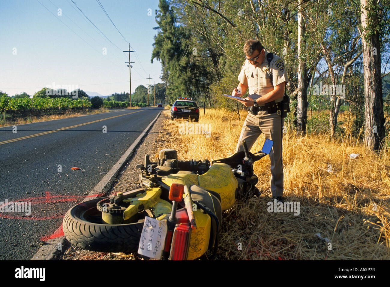 CHP Officer untersucht Verkehrsunfall in der Nähe von St. Helena Napa Valley Napa County in Kalifornien Stockfoto