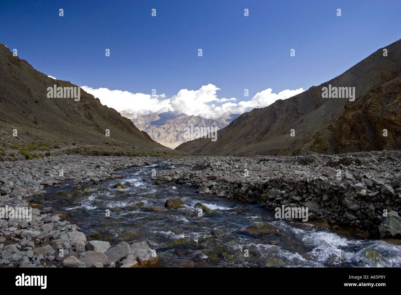 Fluss-Stream auf trekking-Route in den Himalaya-Bergen von Ladakh. Stockfoto