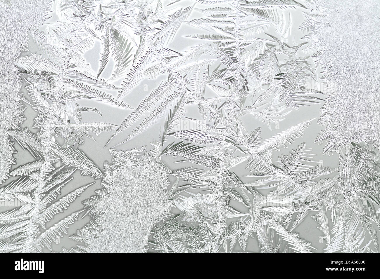 Frost auf einem winterlichen Fenster Stockfoto